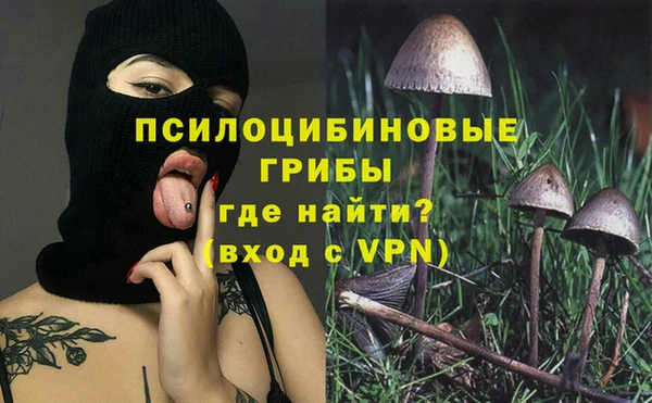 a pvp Армянск