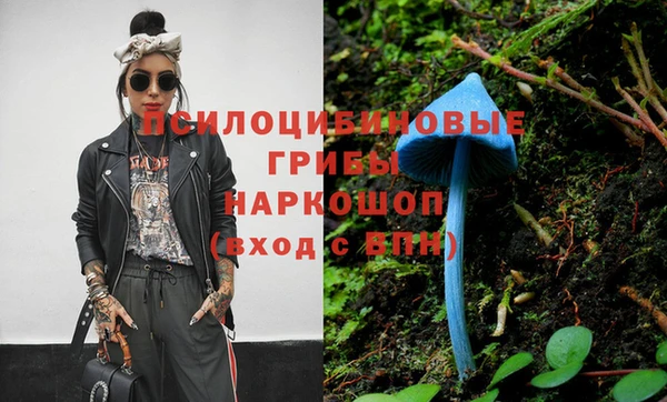 a pvp Армянск