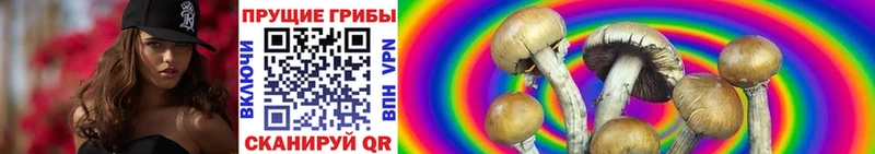 Псилоцибиновые грибы Psilocybine cubensis закладка Макарьев